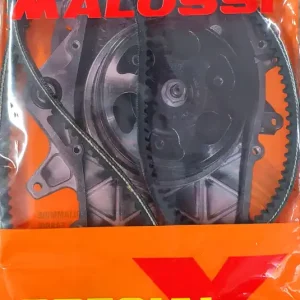 Keilriemen Vario Malossi X Belt 617222 13x1089 mm Antriebsriemen Grillo Preisreduziert