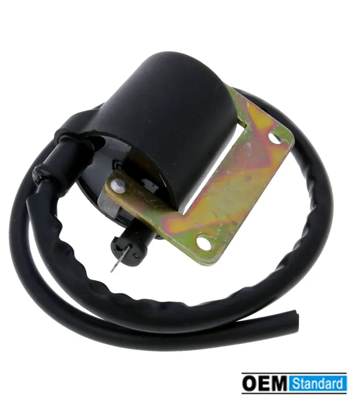 Sichere Zahlung Zündspule 6V mit Zündkabel Piaggio Ciao Bravo Vespa SI