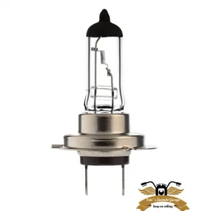 Billig Birne Halogen H7 PX26D 12V 55W Mofa Moped KFZ