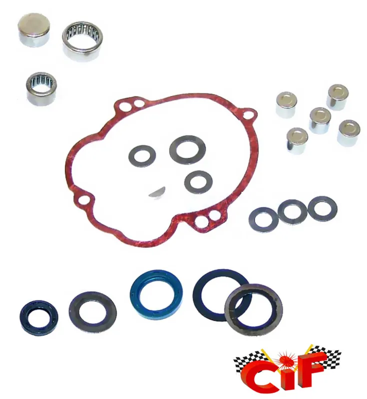 Sofort Bestellen Getriebe Überholsatz Variomatik Reparatursatz Revisionssatz Ciao -CIF-