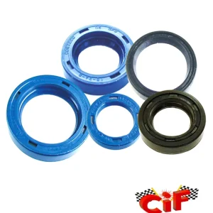 Simmerringsatz Simmerringe Wellendichtring Motor vario Getriebe -CIF- Nur Heute