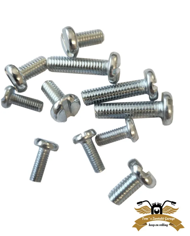 4 x Flachkopfschraube DIN 85Linsenschraube M3 x 8mm VA Wochenendangebot