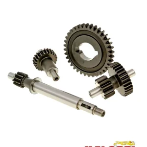 Getriebe Vario HTQ 12,98:1 Primär / Sekundär Ciao, Zahnrad SI -Malossi- Preiswert