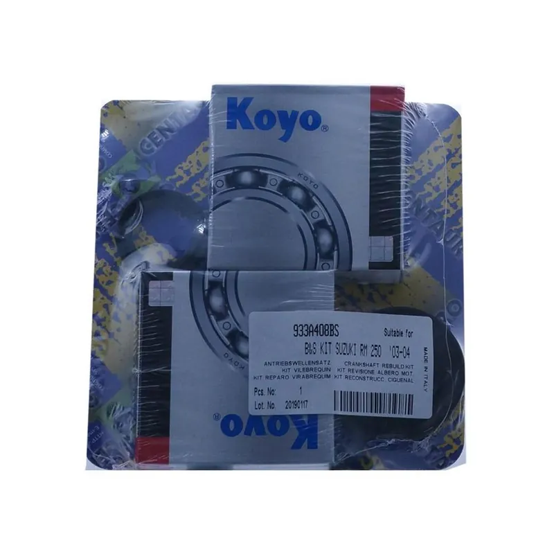 Echt CENTAURO B&S KIT Suzuki RM 250 2003 – 2004