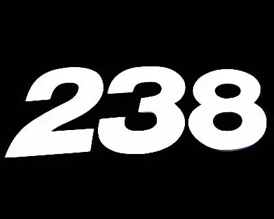 Echt ZAP TechniX Zahlen 15cm weiß Ami. ( 25 st )