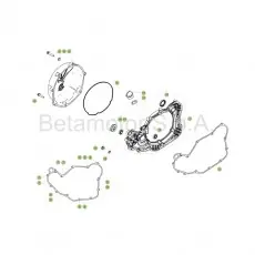 Beta RR430 Racing 17 Motorgehäuse 2 Jetzt Bestellen