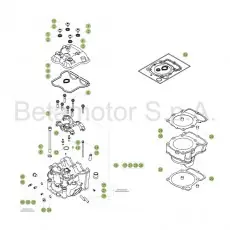 Beta RR480 Racing 17 Zylinder/Zylinderkopf/Ventieltrieb 1 Markenprodukt
