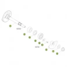 Beta RR350 17 Kurbelwelle/Kolben/Ausgleichswelle 1 Gratis Versand