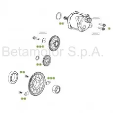 Echt Beta RR480 17 Elektrostarter
