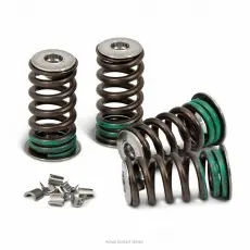 Pro Circuit Valve Spring Ventilfedern Kit KXF250 04-20 Preiswert