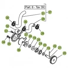 Echt BetaEVO125 Factory 12 Schmiersystem