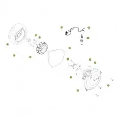 Beta EVO300 Factory 14 Zündanlage 2 Günstig