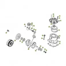 Kostenloser Versand Beta EVO300 Factory 14 Kurbelwelle/Kolben/Ausgleichswelle 1