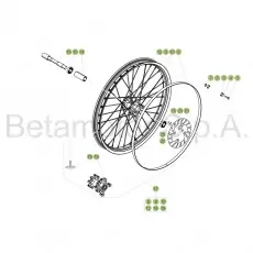 Kracherpreis Beta EVO300 Factory 17 Vorderrad