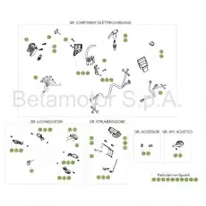 Beta EVO300 Factory 17 Kabelstrang Begrenztes Angebot