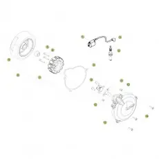 Beta EVO250 Factory 14 Zündanlage 2 Zertifiziert