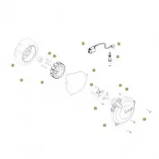 Garantierte Lieferung Beta EVO250 Factory 15 Zündanlage