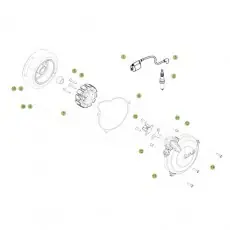 Schneller Versand Beta EVO250 Factory 16 Zündanlage