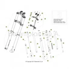 Beta EVO250 Factory 17 Gabel Beliebt