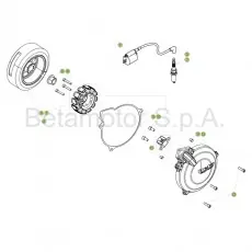 Beta EVO250 Factory 17 Zündanlage Neuheit