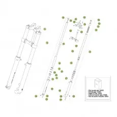 Beta EVO250 Factory 12 Gabel 1 Preiswert