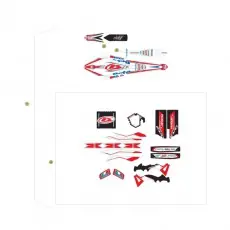 Beta EVO250 Factory 13 Verkleidung/Sitzbank/Tank 3 Preiswert