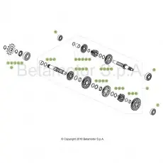 Beta EVO300 Factory 4T 17 Getriebe Top-Seller