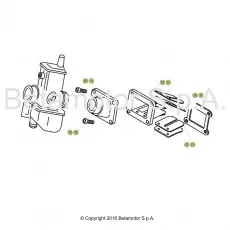 Top-Angebot Beta EVO250 17 Vergaser 1