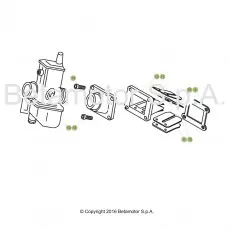 Kostenloser Versand Beta EVO200 17 Vergaser 1