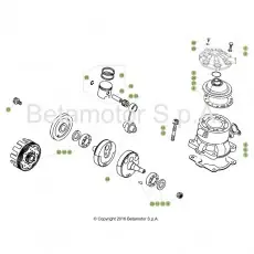 Top-Seller Beta EVO300 17 Kurbelwelle/Kolben/Ausgleichswelle