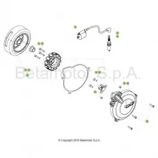 Beta EVO300 SS 17 Zündanlage Letzte Chance