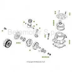 Beta EVO200 17 Kurbelwelle/Kolben/Ausgleichswelle Bestpreis
