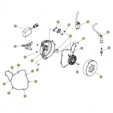 Beta EVO300 4T 10 Zündanlage Sonderaktion