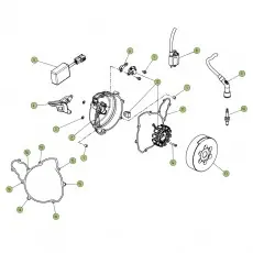 Expressversand Beta REV250 4T 08 Zündanlage