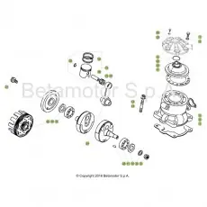 Beta EVO250 18 Kurbelwelle/Kolben/Ausgleichswelle Kostenloser Rückversand
