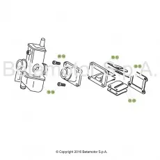 Beta EVO300 18 Vergaser 1 Echt