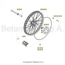 Beta EVO250 18 Vorderrad Echt