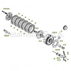 Beta EVO125 18 Primärtrieb/Kupplung Zertifiziert