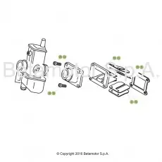 Beta EVO300 SS 18 Vergaser 1 Markenware