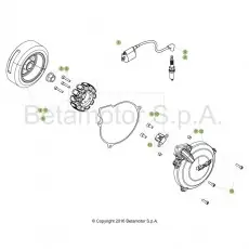 Bestpreis Beta EVO300 SS 18 Zündanlage