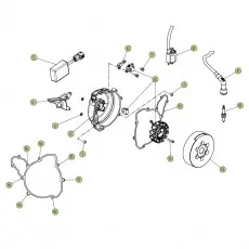 Beta EVO300 4T 18 Zündanlage Heißes Angebot