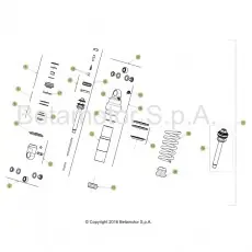 Garantierte Lieferung Beta EVO250 4T 18 Schwingarm/Federbein 2