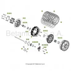 Beta Xtrainer250 18 Primärtrieb/Kupplung Direktkauf