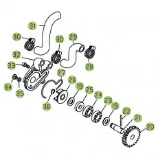 Aktuell Beta EVO300 SS 19 Kühlsystem