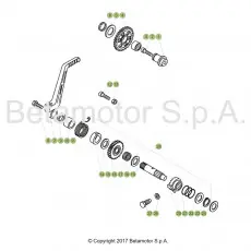 Beta EVO300 SS 19 Kickstarter Sofort Bestellen