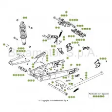 Beta EVO250 19 Schwingarm/Federbein 1 Echt
