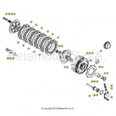 Beta EVO250 19 Primärtrieb/Kupplung Aktuell