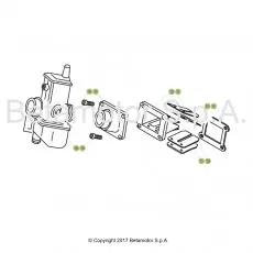 Beta EVO200 19 Vergaser 1 Online Kaufen