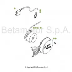 Sofort Bestellen Beta EVO200 19 Zündanlage