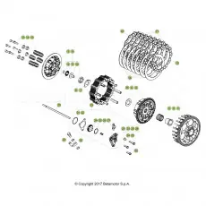 Beta RR300RC 19 Primärtrieb/Kupplung Heißes Angebot